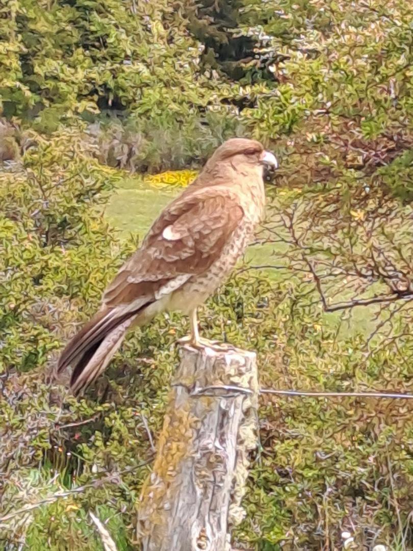 Austral Casa de férias Puerto Natales